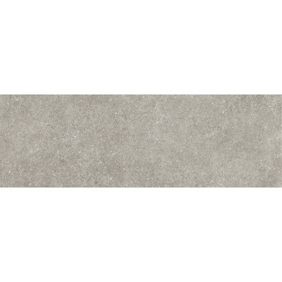 ΠΛΑΚΑΚΙ AVENUA GREY MATT 33X100CM