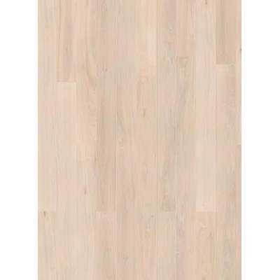 ΠΑΤΩΜΑ LAMINATE BASIC PLATEAU OAK MATT (0208) AC3 ΠΑΧΟΣ 7MM ALFA WOOD