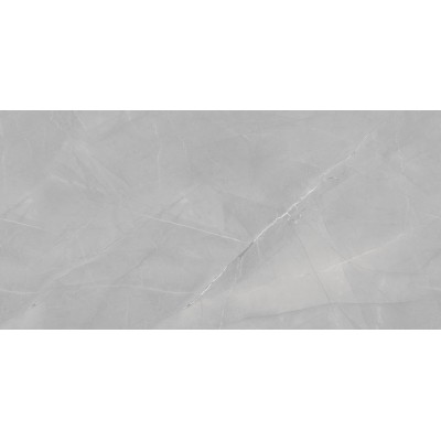 ΠΛΑΚΑΚΙ ARMANI EXOTIC SILVER FULL POLISHED RECTIFIED 60X120CM