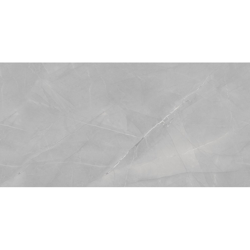 ΠΛΑΚΑΚΙ ARMANI EXOTIC SILVER FULL POLISHED RECTIFIED 60X120CM
