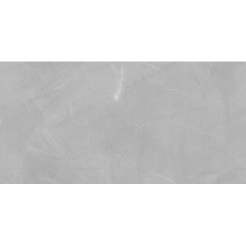 ΠΛΑΚΑΚΙ ARMANI EXOTIC SILVER FULL POLISHED RECTIFIED 60X120CM