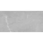 ΠΛΑΚΑΚΙ ARMANI EXOTIC SILVER FULL POLISHED RECTIFIED 60X120CM