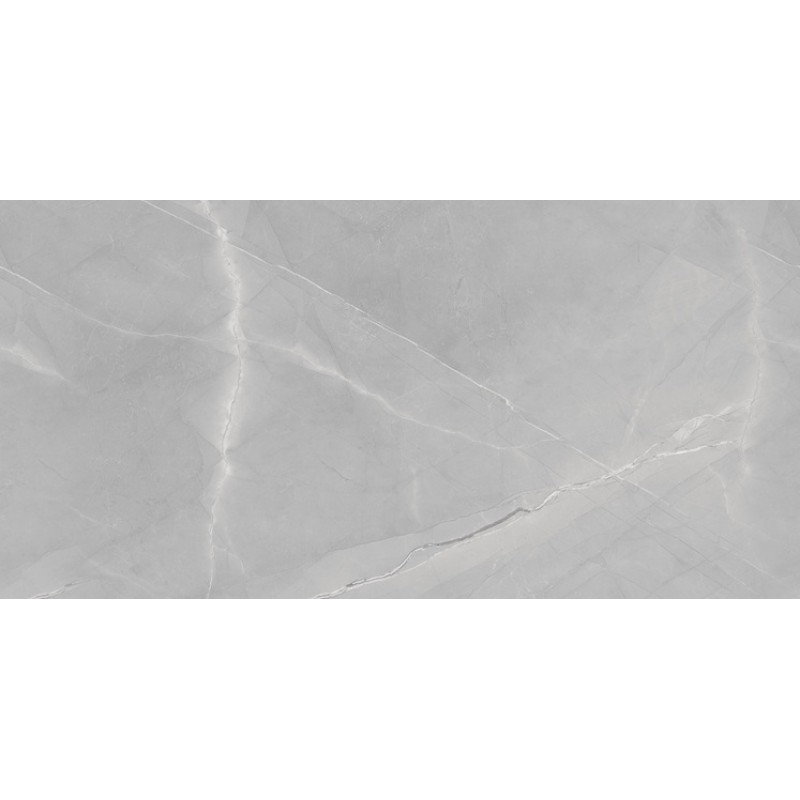 ΠΛΑΚΑΚΙ ARMANI EXOTIC SILVER FULL POLISHED RECTIFIED 60X120CM