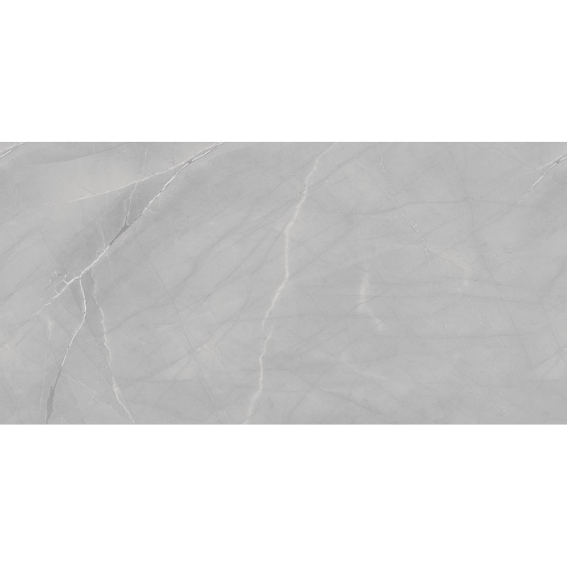 ΠΛΑΚΑΚΙ ARMANI EXOTIC SILVER FULL POLISHED RECTIFIED 60X120CM