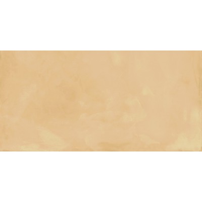 ΠΛΑΚΑΚΙ TOUCH EVO GOLD SOFT RECTIFIED 60X120CM