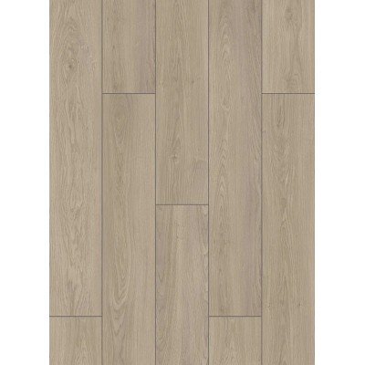 ΠΑΤΩΜΑ LAMINATE BASIC GREY OAK MATT (0104) AC3 ΠΑΧΟΣ 7MM ALFA WOOD