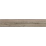 ΠΛΑΚΑΚΙ IKON WALNUT MATT COLOR BODY RECTIFIED 20X122CM