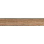 ΠΛΑΚΑΚΙ REGINA WOOD BROWN PUNCH RECTIFIED 20X120CM
