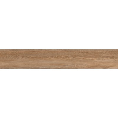 ΠΛΑΚΑΚΙ REGINA WOOD BROWN PUNCH RECTIFIED 20X120CM