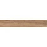ΠΛΑΚΑΚΙ REGINA WOOD BROWN PUNCH RECTIFIED 20X120CM