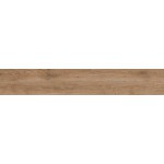 ΠΛΑΚΑΚΙ REGINA WOOD BROWN PUNCH RECTIFIED 20X120CM