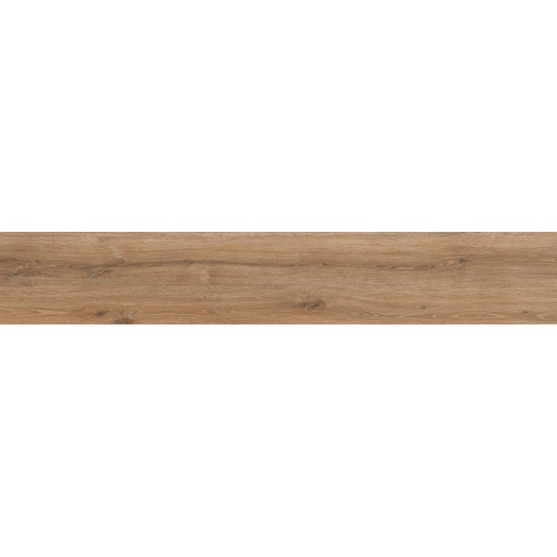 ΠΛΑΚΑΚΙ REGINA WOOD BROWN PUNCH RECTIFIED 20X120CM