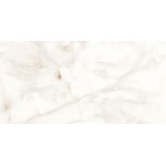 ΠΛΑΚΑΚΙ ANTI SKY FULL POLISHED RECTIFIED 60X120CM