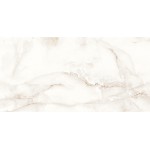 ΠΛΑΚΑΚΙ ANTI SKY FULL POLISHED RECTIFIED 60X120CM