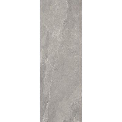 ΠΛΑΚΑΚΙ ADVANTAGE SKIN SILVER MATT RECTIFIED 100X300CM (3.5MM)