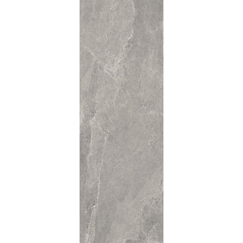 ΠΛΑΚΑΚΙ ADVANTAGE SKIN SILVER MATT RECTIFIED 100X300CM (3.5MM)