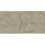 ΠΛΑΚΑΚΙ COLUNBIA BROWN GLOSSY RECTIFIED 60X120CM ΠΛΑΚΑΚΙ COLUNBIA BROWN GLOSSY RECTIFIED 60X120CM