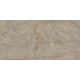 ΠΛΑΚΑΚΙ COLUNBIA BROWN ΓΥΑΛΙΣΜΕΝΟ RECTIFIED 60X120CM