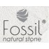 Fossil 