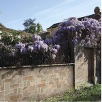 ΠΛΑΚΑΚΙ MURO DI SIENA BEIGE MATT 31X62CM