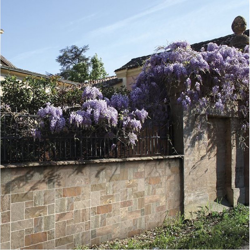ΠΛΑΚΑΚΙ MURO DI SIENA BEIGE MATT 31X62CM