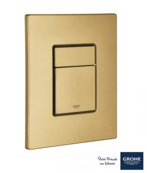 ΠΛΑΚΕΤΑ ΔΙΠΛΗΣ ΡΟΗΣ SKATE COSMOPOLITAN BRUSHED COOL SUNRISE (38732GN0) GROHE